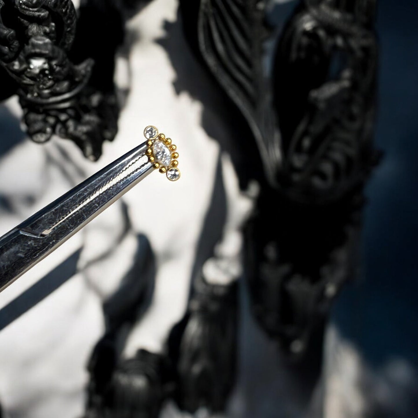 Ari collection of titanium labret piercings