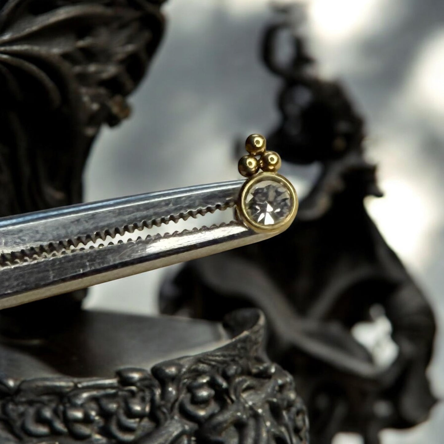 Velour collection of labret piercings 316L