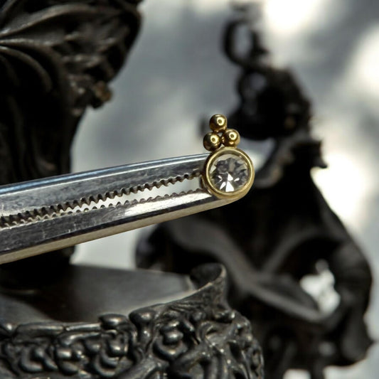 Velour ornamental labret piercing 316L